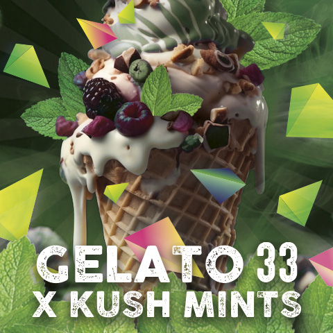 Gelato Mints > Tramuntana Seeds | Feminisierte Hanfsamen  |  Hybrid